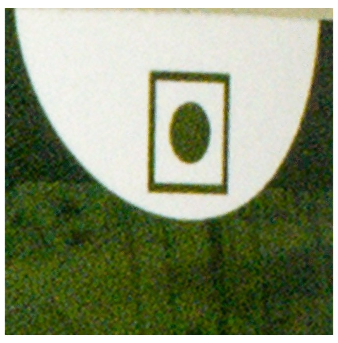 slide-1
