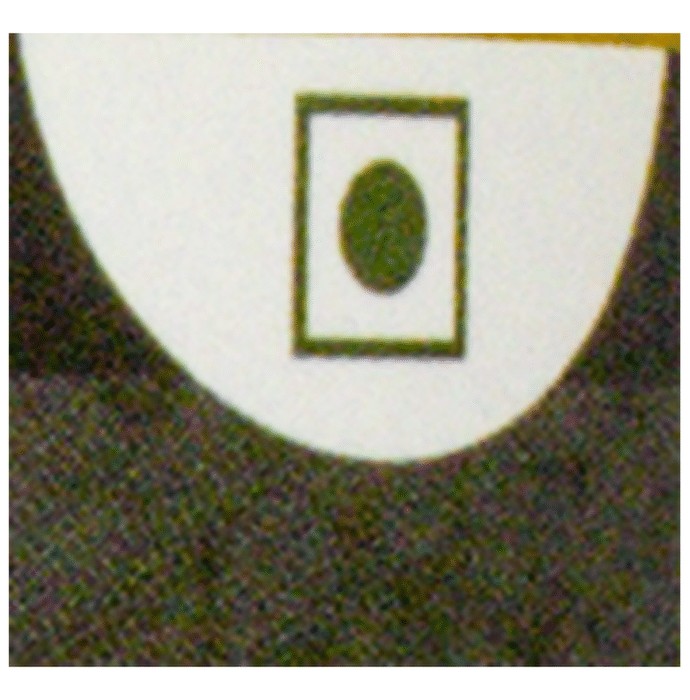 slide-6