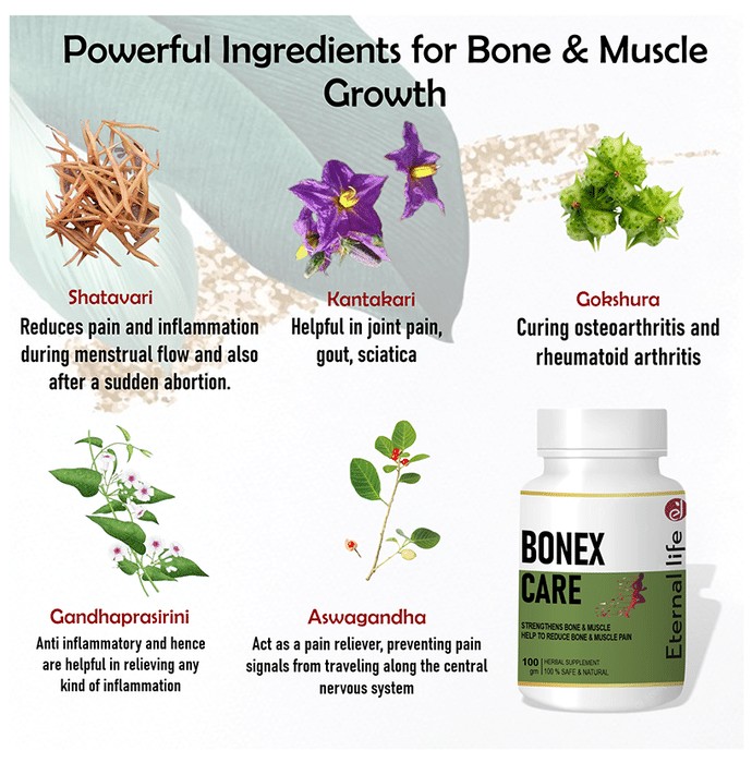 slide-4
