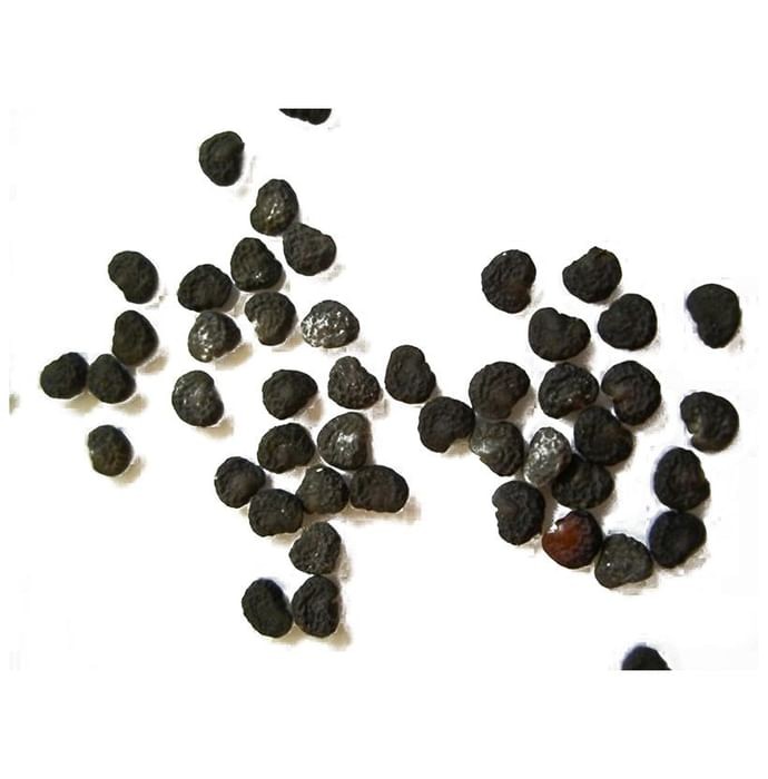 slide-1