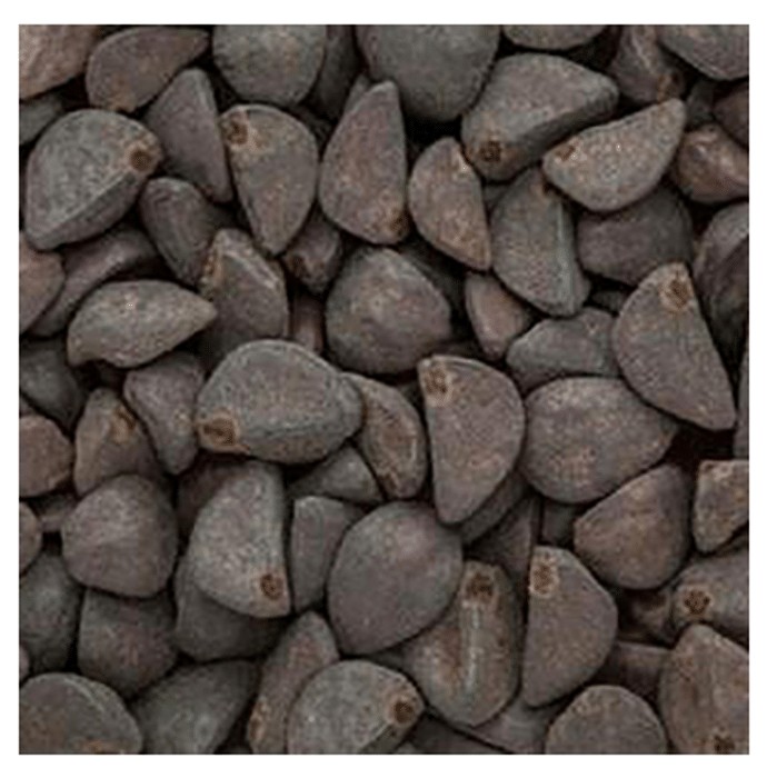 slide-0