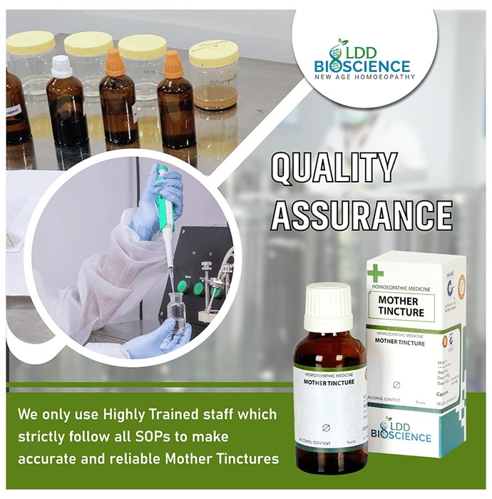slide-0