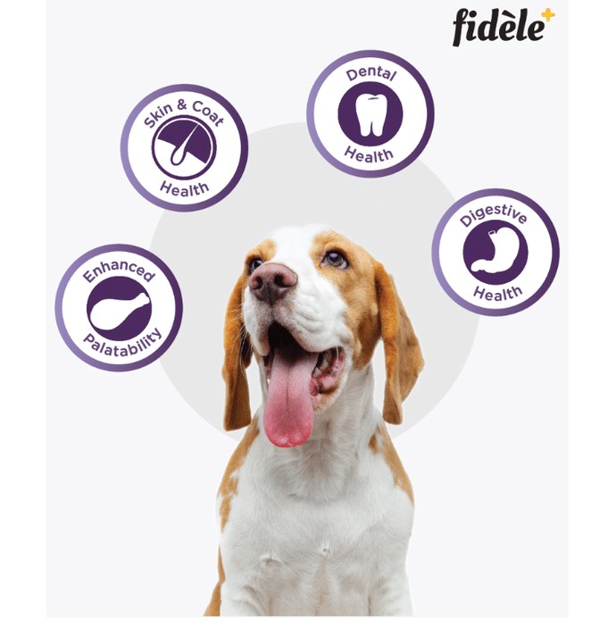 slide-2