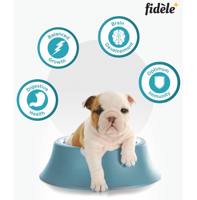 slide-3