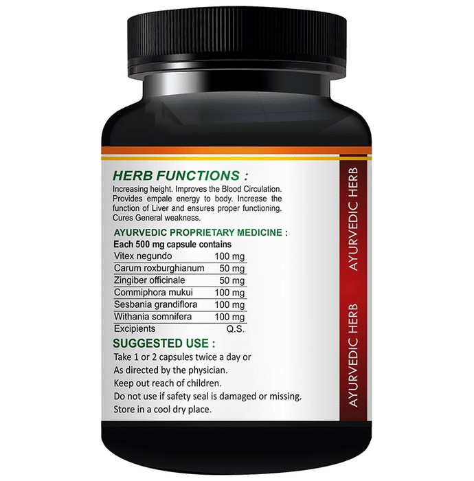 slide-4