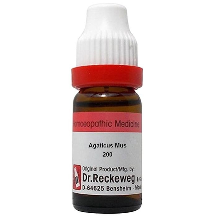 slide-0