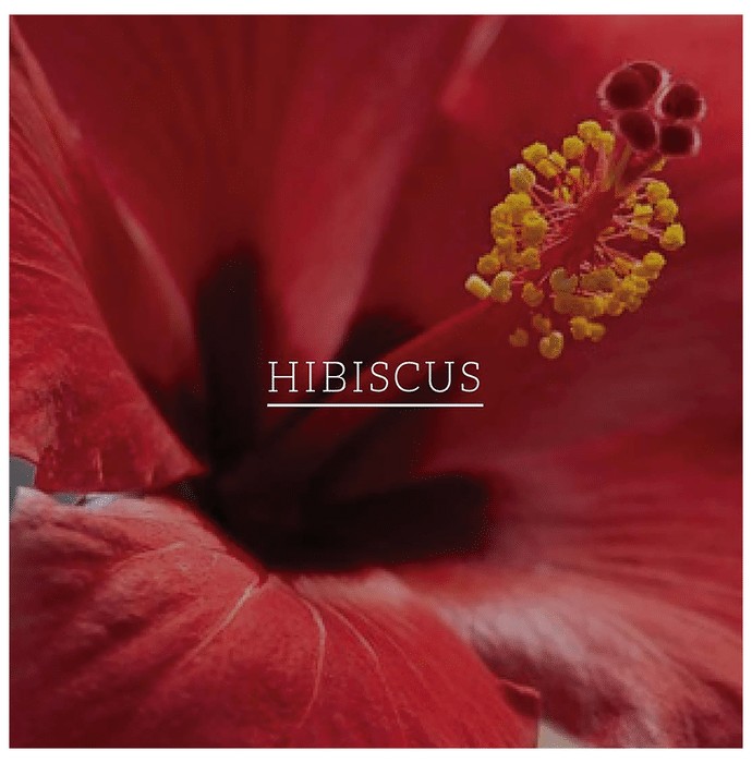 slide-7