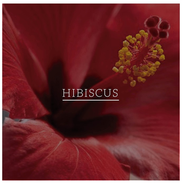 slide-7