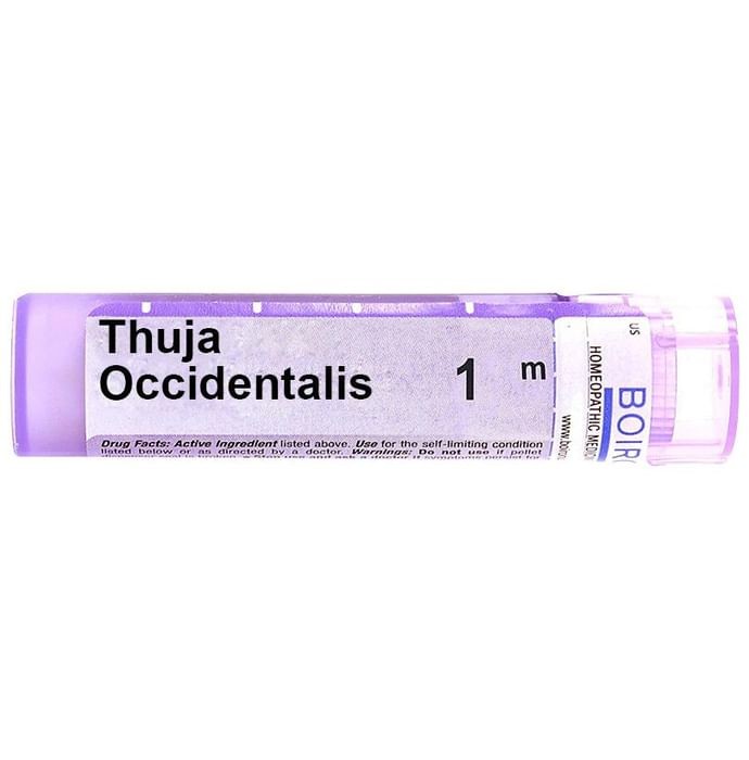 slide-0