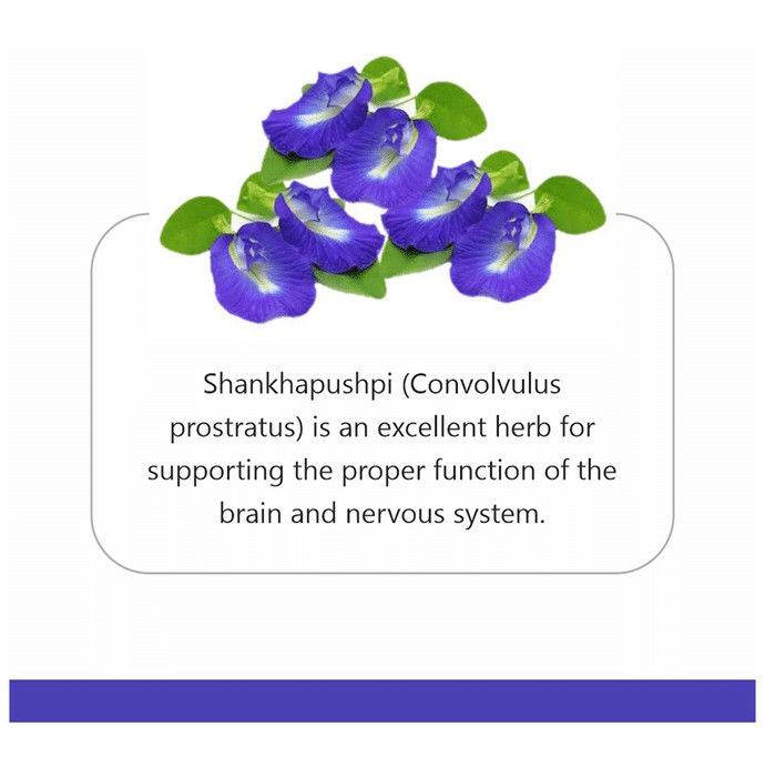 slide-2